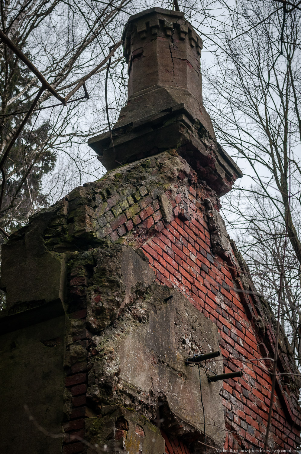 Усадьба Сенницы