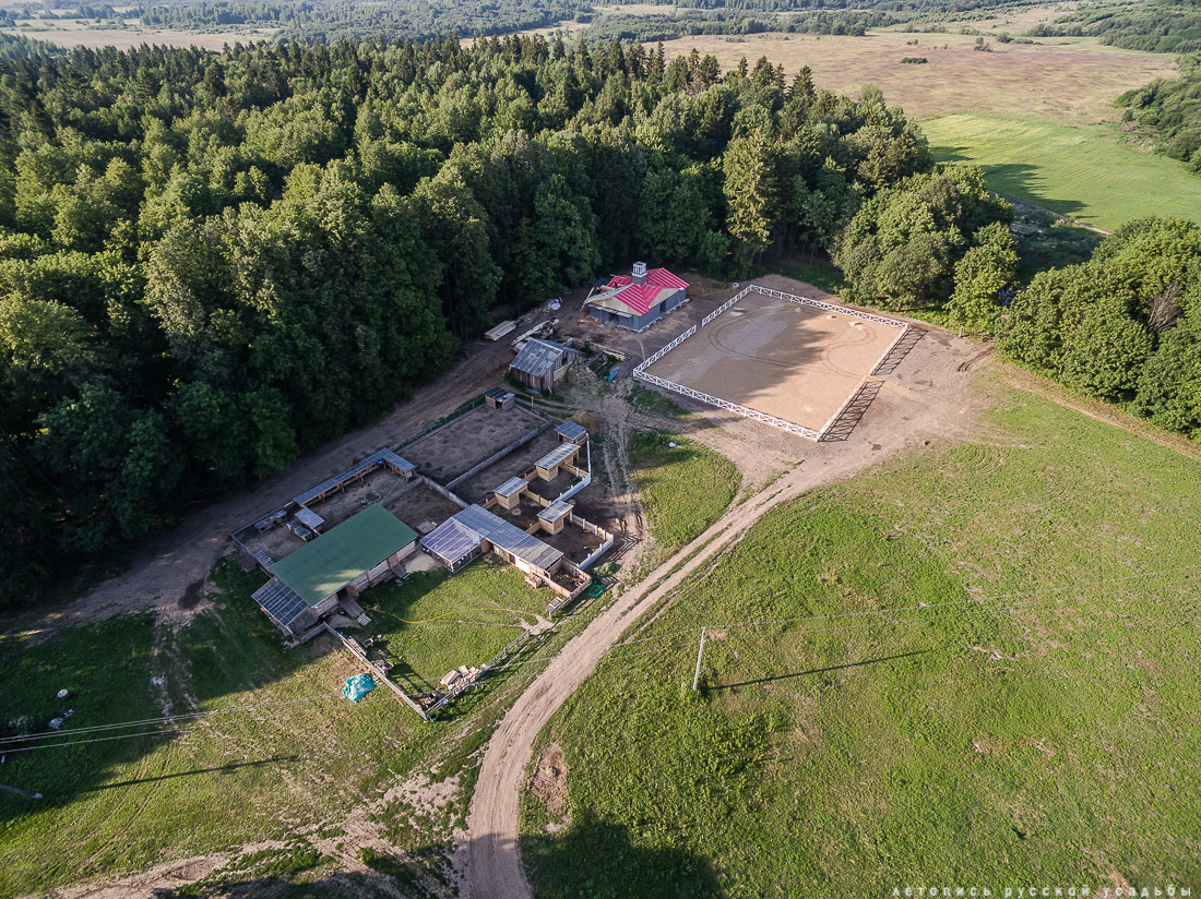 усадьба Степановское-Волосово, фотографии с дрона, шетлендский пони Трамп