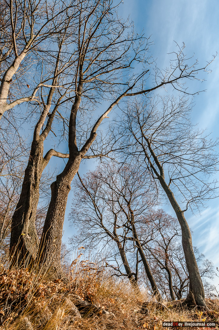 усадьба Богородицк