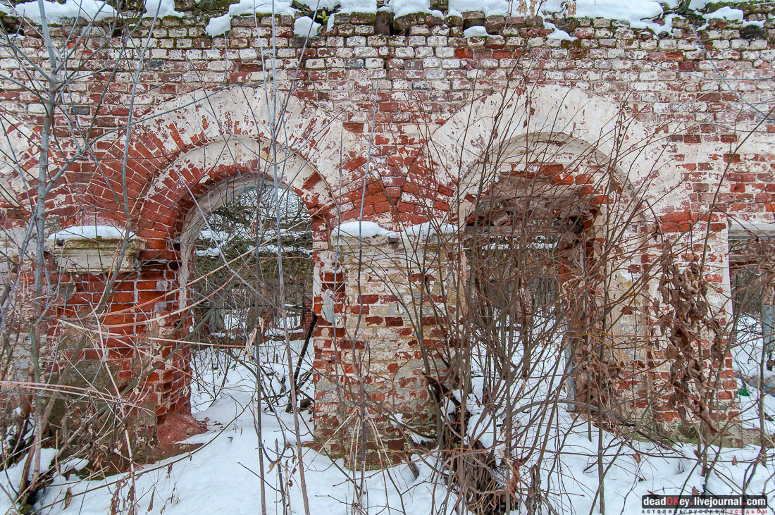 усадьба Гребнево, больничный комплекс