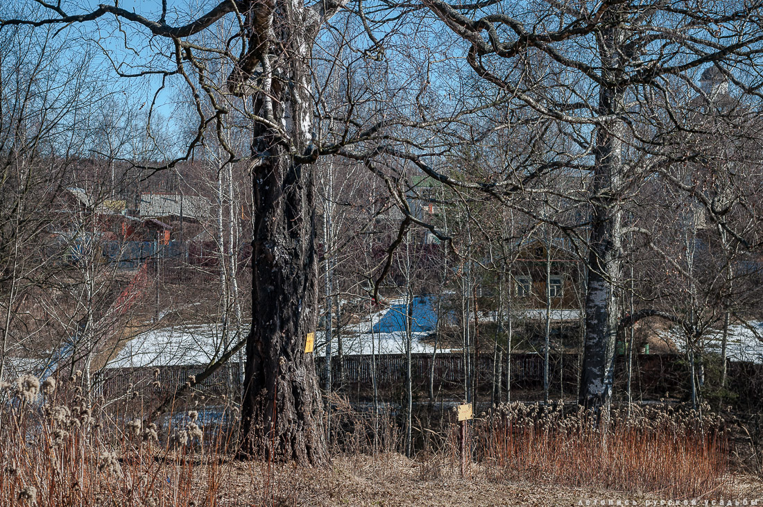 усадьба Комягино