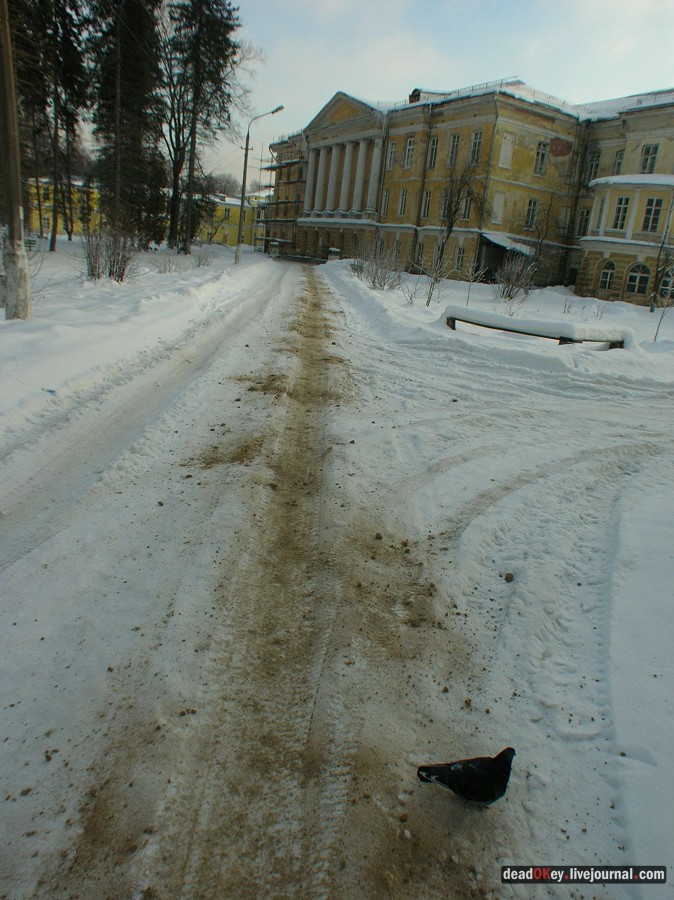 усадьба Горенки