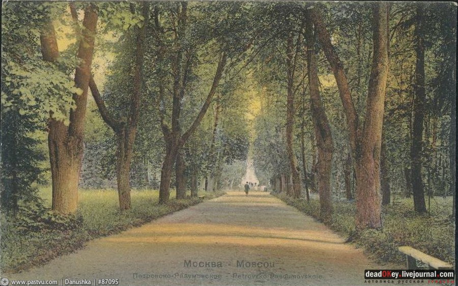 усадьба Петровское-Разумовское