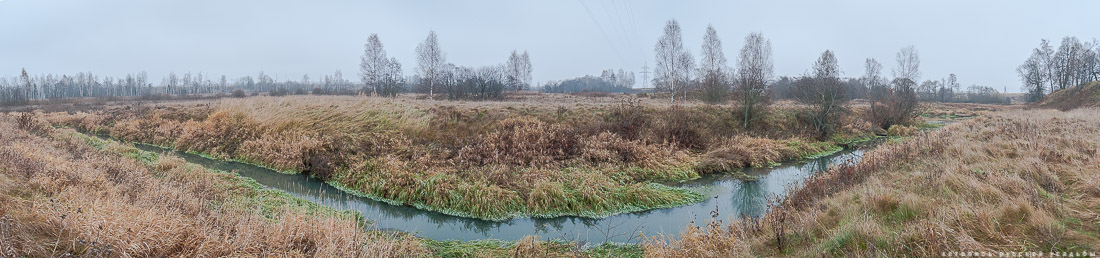 усадьба Могутово