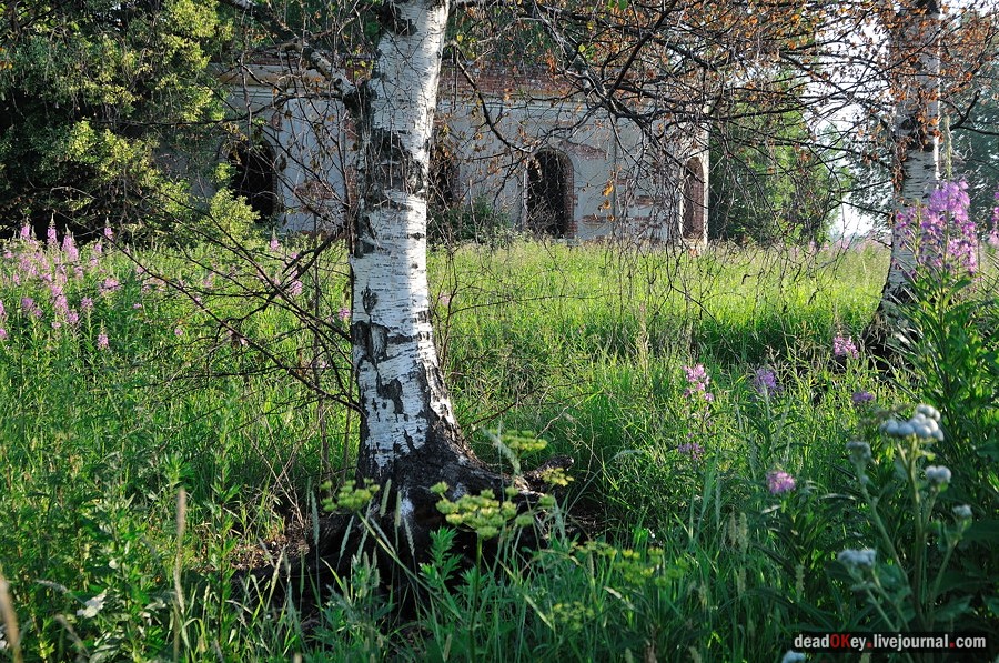 усадьба Клины