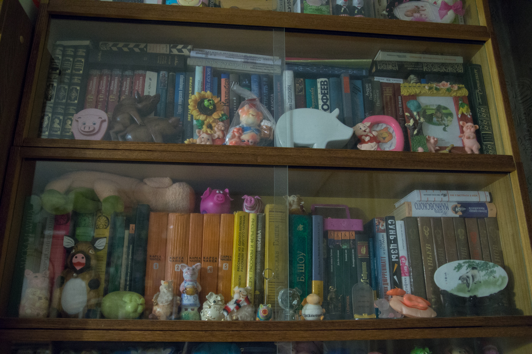 Свиньи, музей свиней