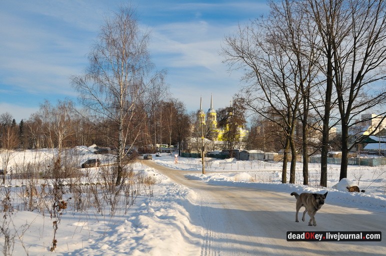 усадьба Троицкое-Кайнарджи