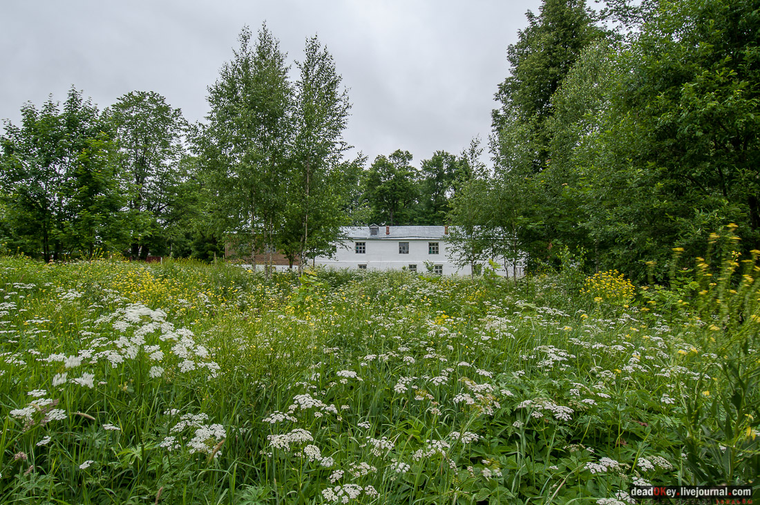 усадьба Василёво, Тверская область, Торжокский район