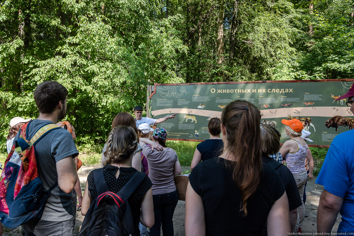 Экоэлектричка. Волонтерский поезд к зубрам в Приокский террасный заповедник