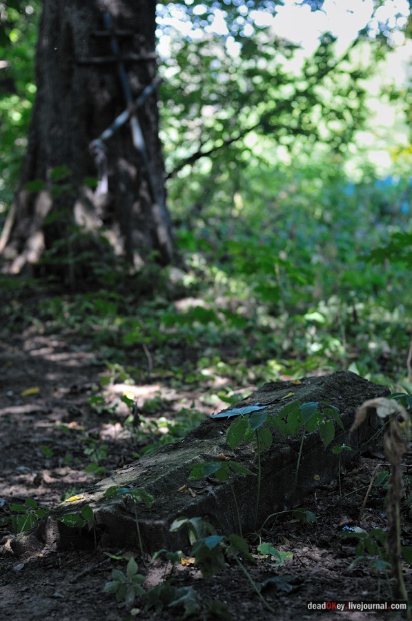 усадьба Опарино