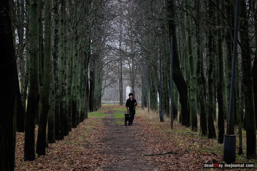 усадьба Горки Ленинские