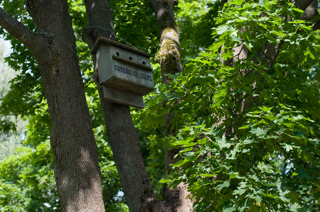 Усадьба Мелихово