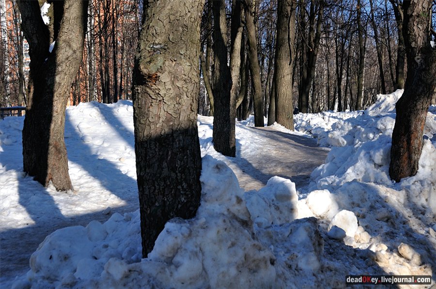 усадьба Перово