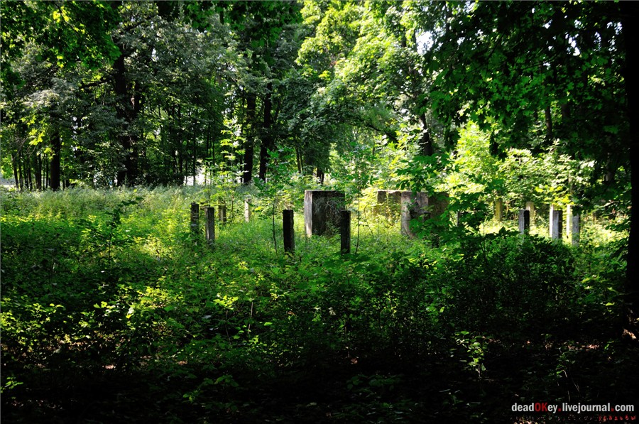 усадьба Никольское-Тимонино