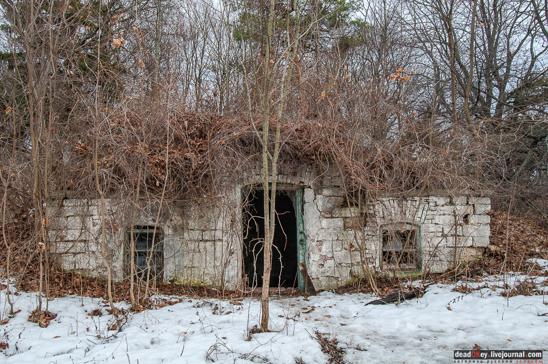 усадьба Мещерское