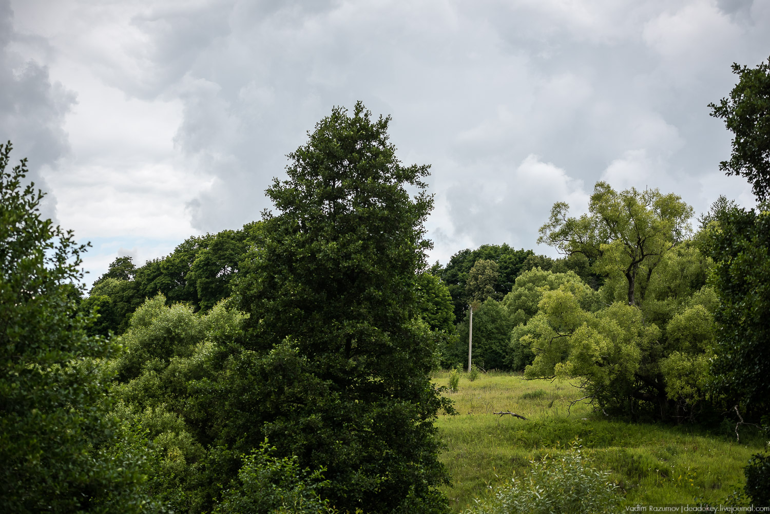 Усадебные волонтеры. Субботник на могиле В.И. Баженова, Старое Глазово, Горки