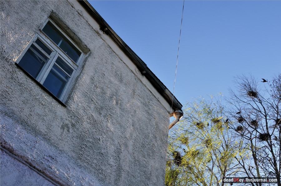 усадьба Черкутино