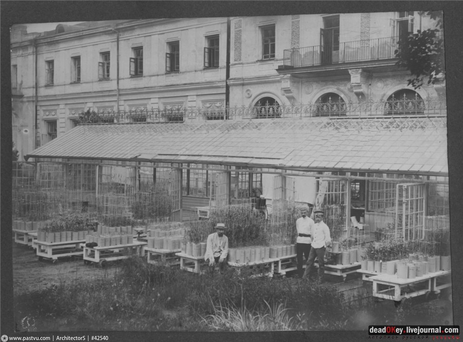 усадьба Петровское-Разумовское