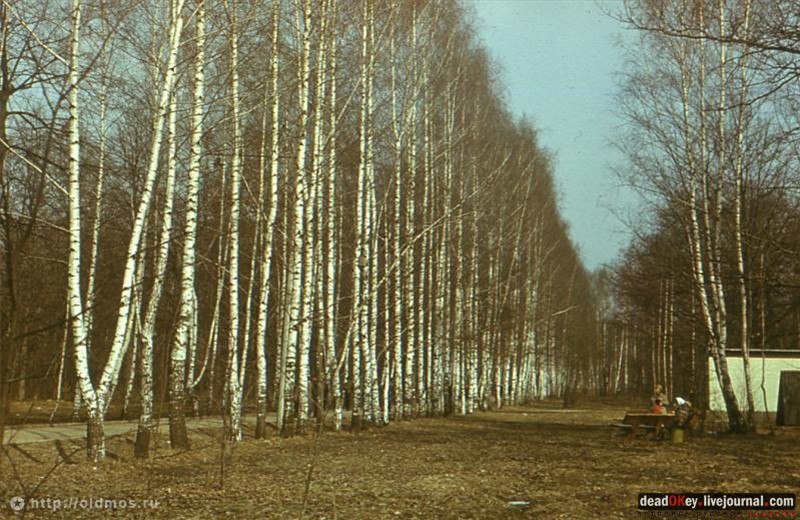  усадьба Гиреево
