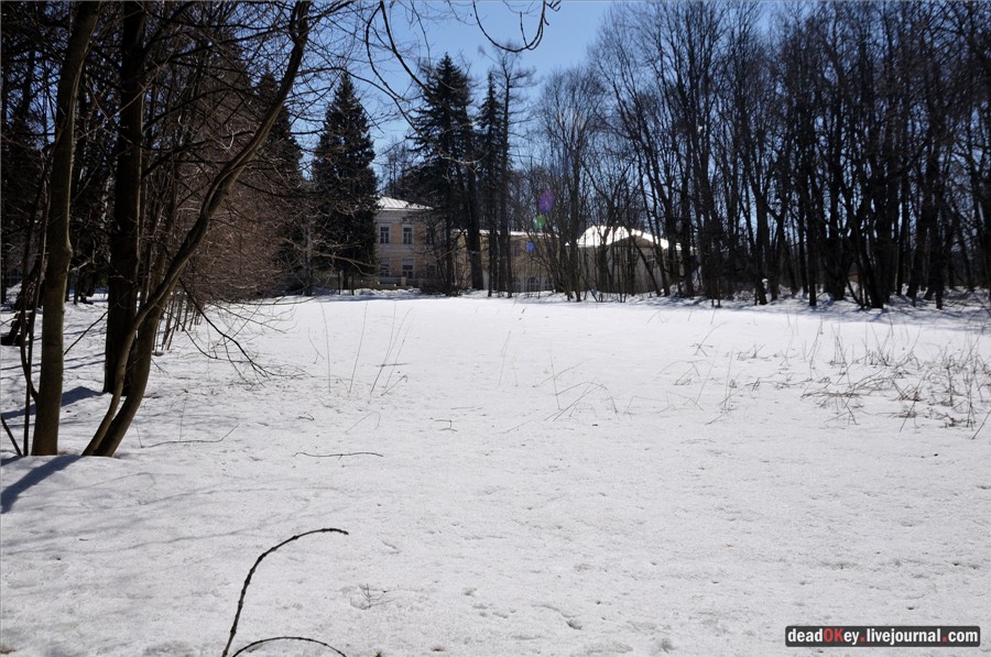 усадьба Узкое