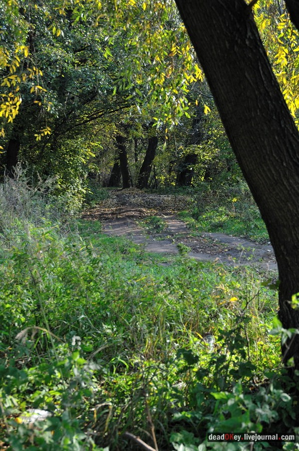 усадьба Красково