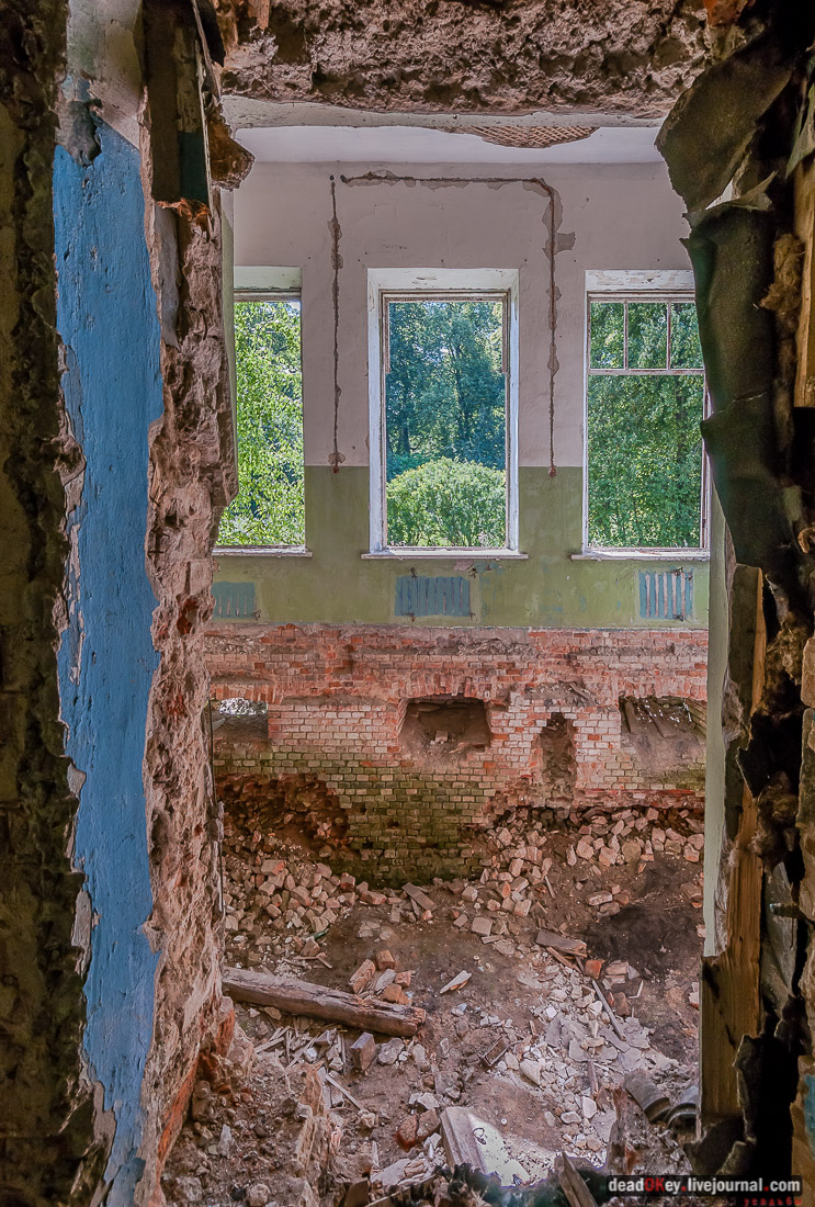 усадьба Васильевское Повалишиных