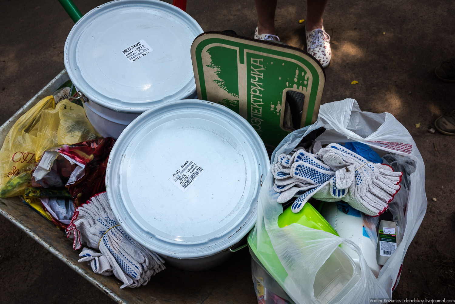 Экоэлектричка. Волонтерский поезд к зубрам в Приокский террасный заповедник