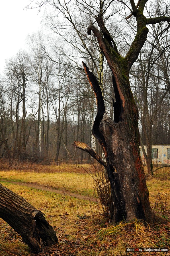 усадьба Волхонка