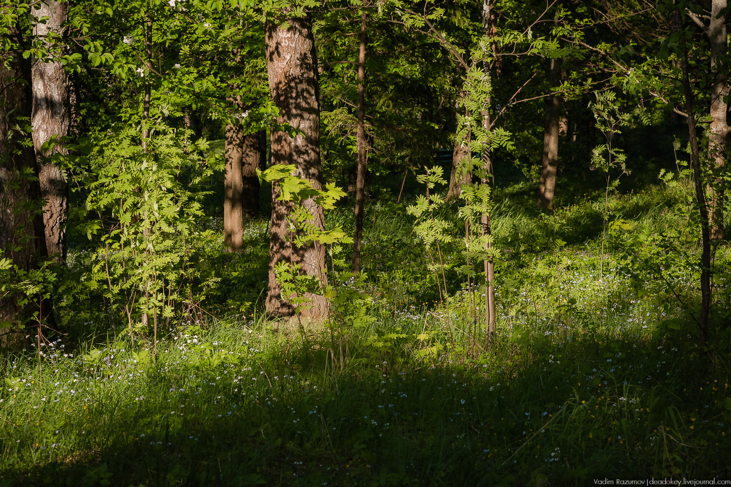 усадьба Воронино