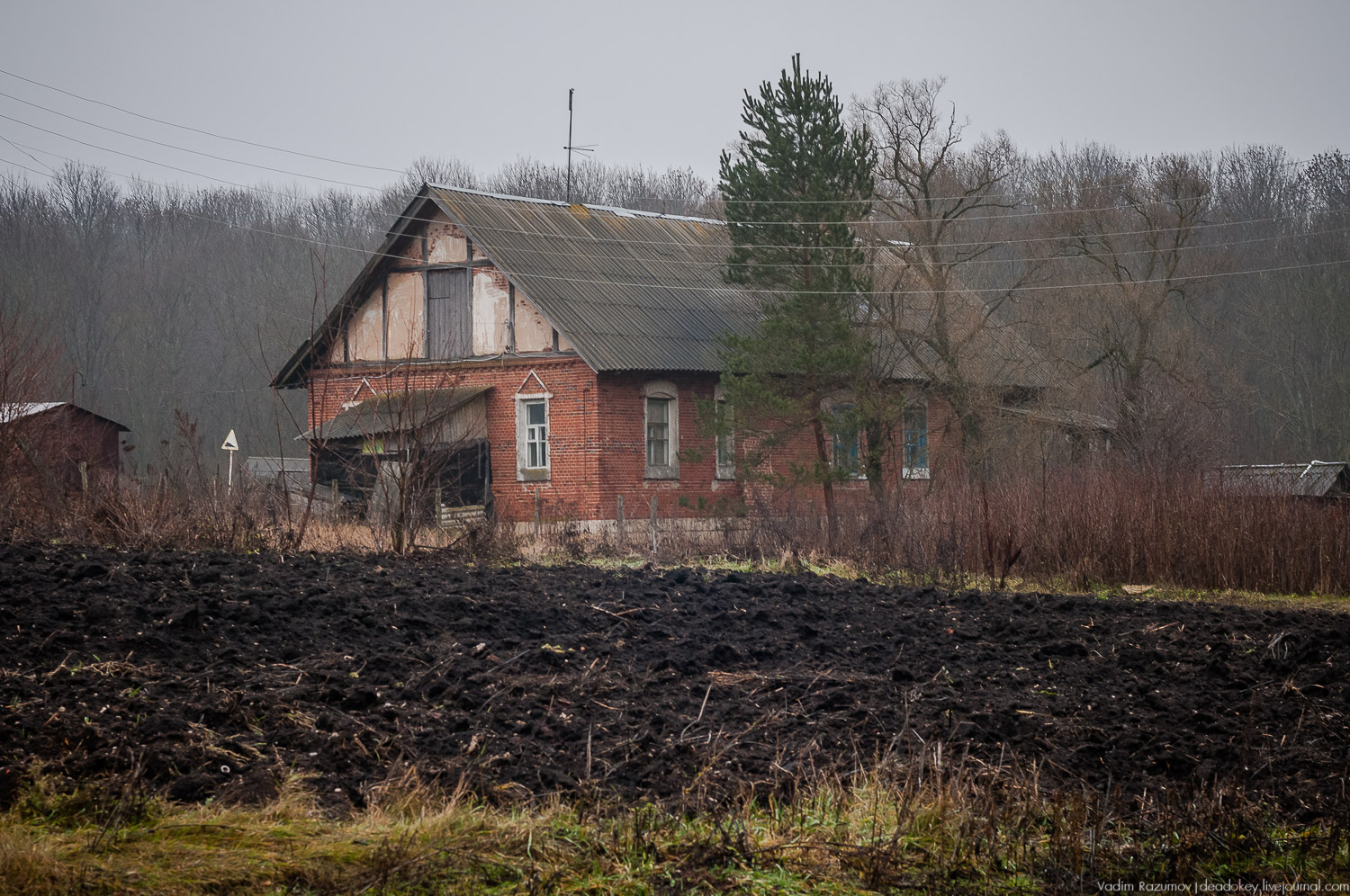 усадьба Пальна-Михайловка, аудиогид по усадбе, фото Вадим Разумов