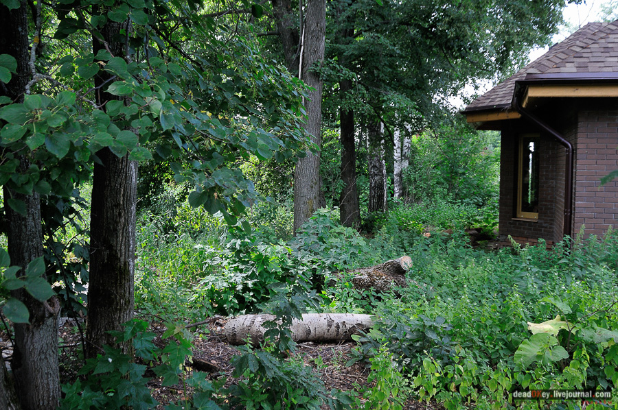 усадьба Матыра