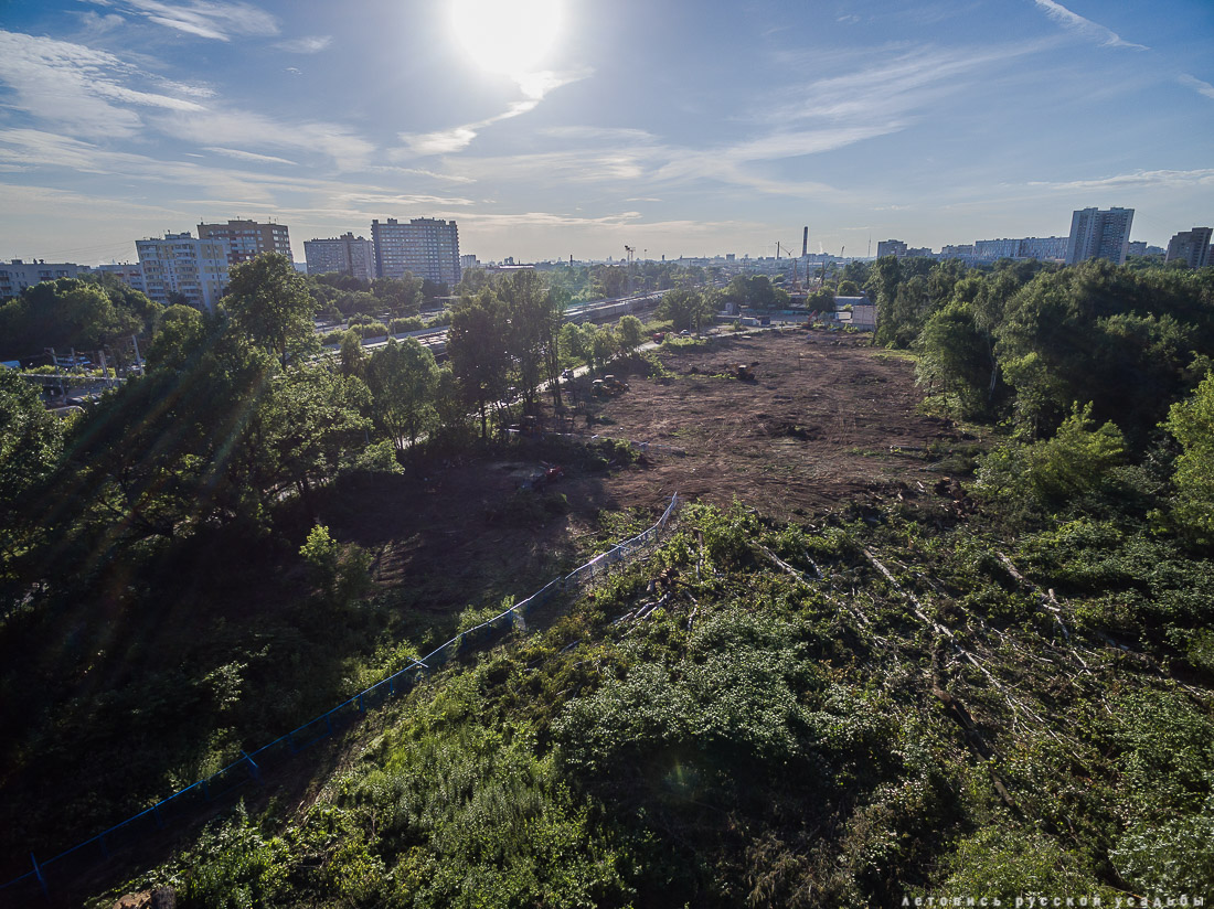 Летопись Русской Усадьбы. Новости недели
