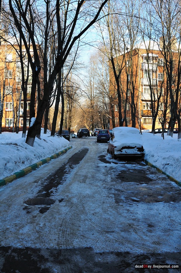 усадьба Петровское-Лобаново