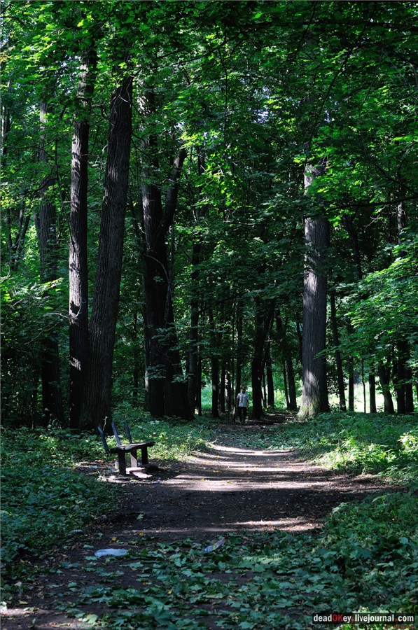 усадьба Лукино-Варино
