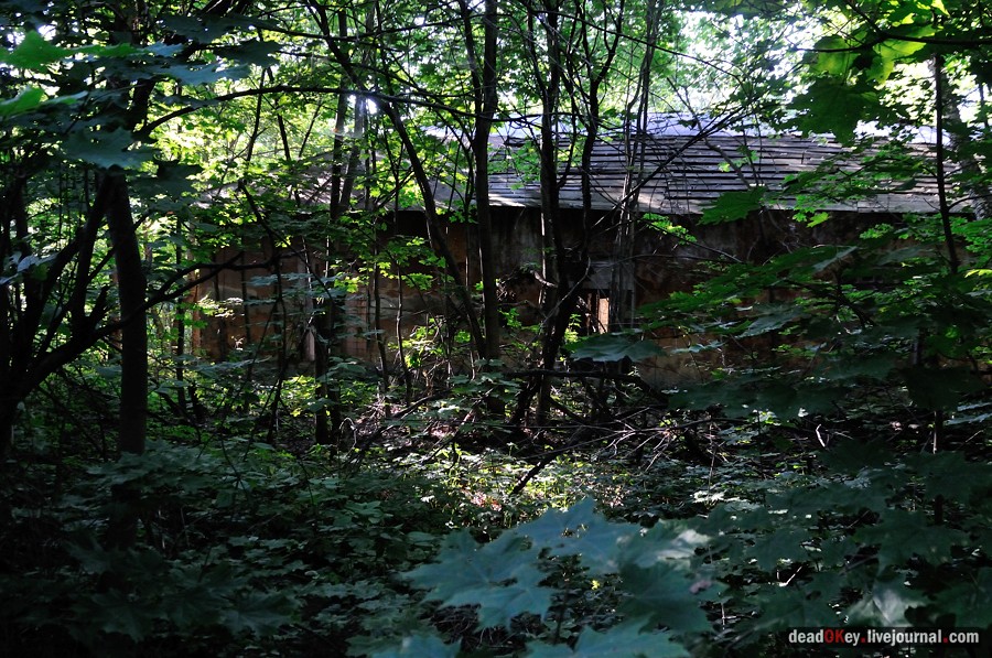 усадьба Шишкино