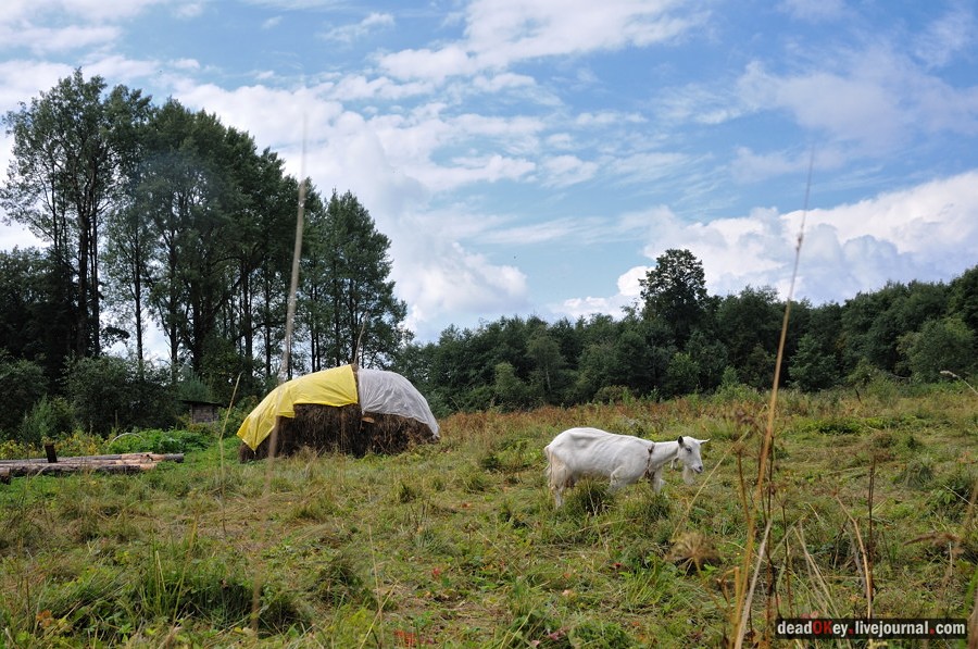 усадьба Верхоляне