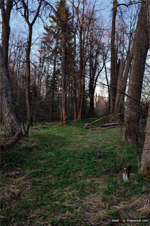 усадьба Смольнево