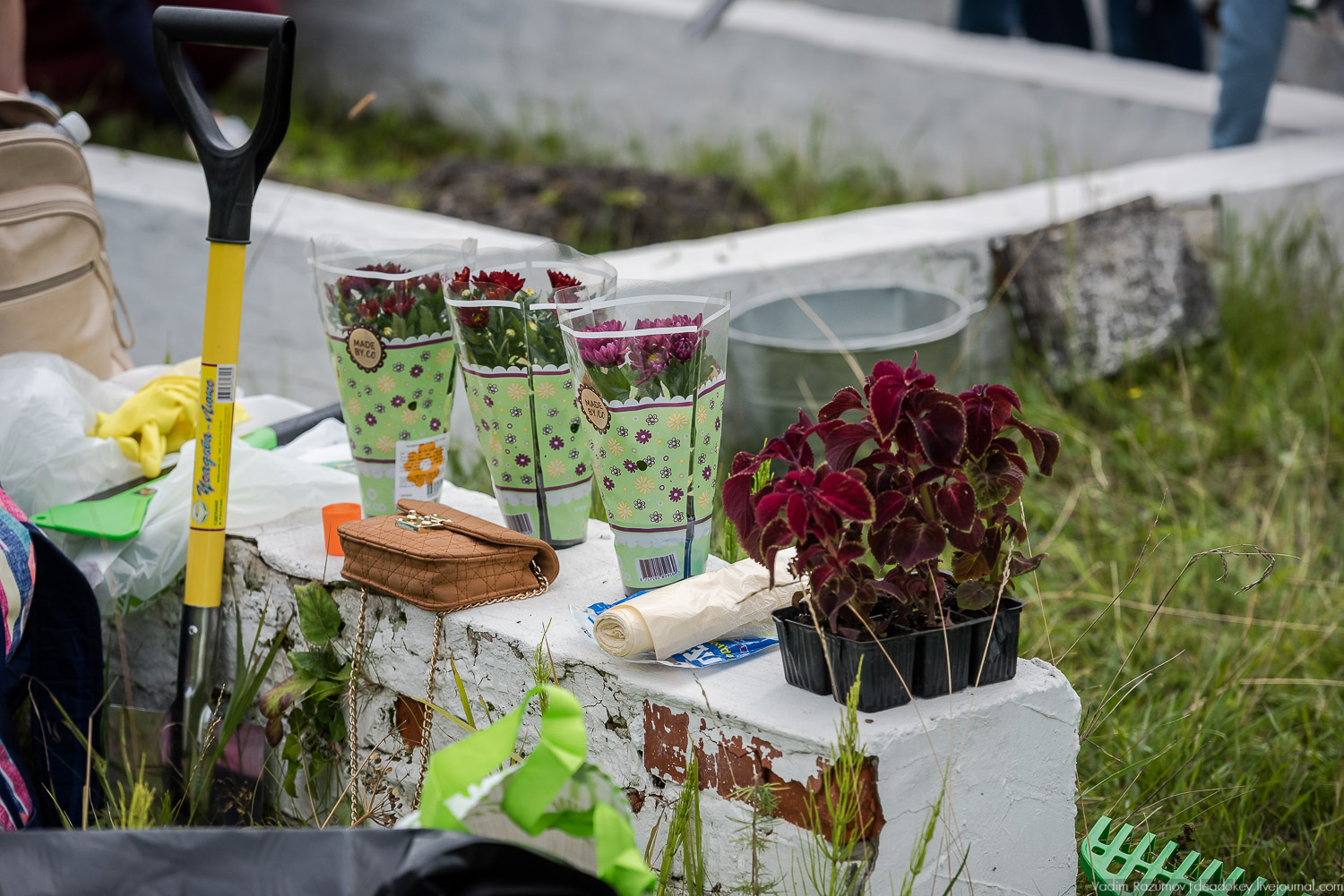 Усадебные волонтеры. Субботник на могиле В.И. Баженова, Старое Глазово, Горки