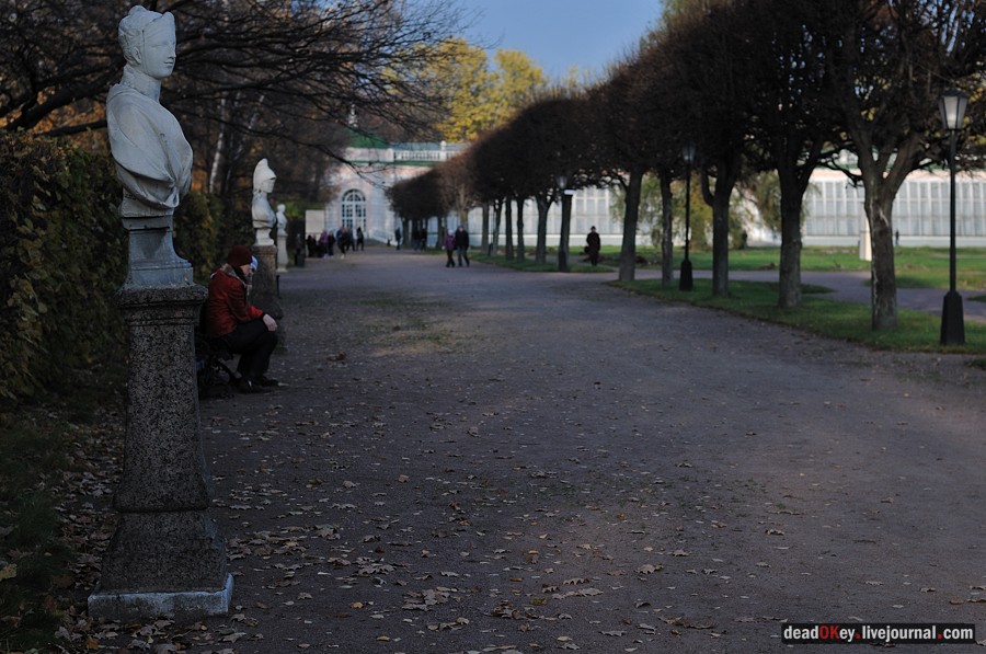 усадьба Кусково