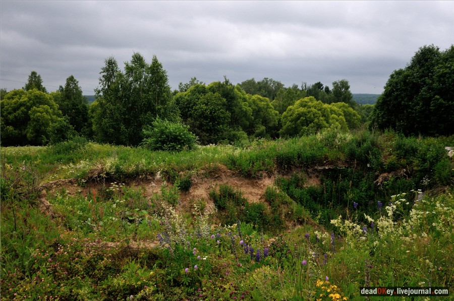 усадьба Фуникова Гора Прокудина-Горского