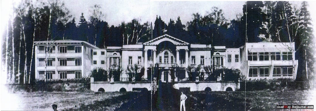 усадьба Мамоново, Сколково, Гусева полоса