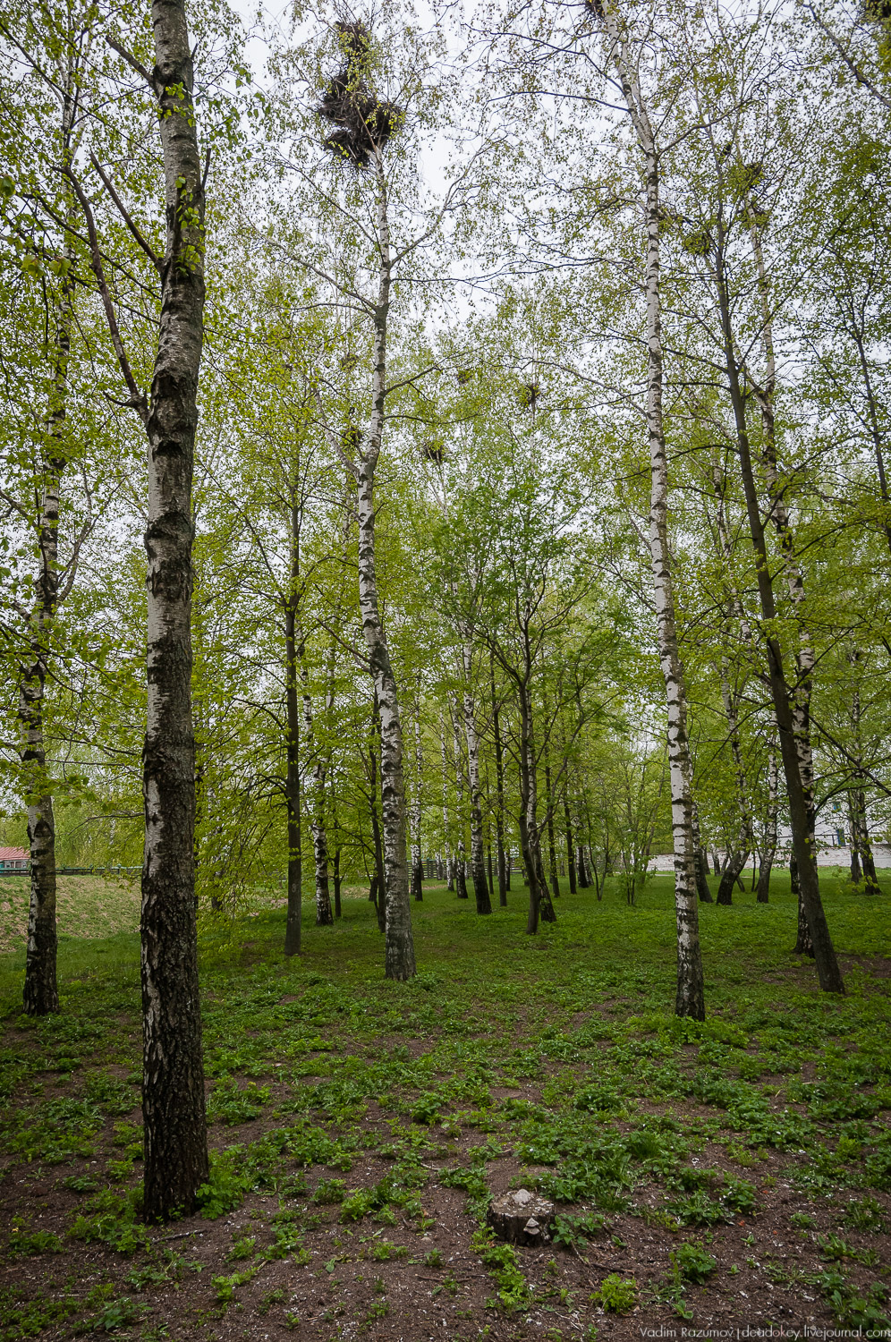 Усадьба Константиново, есенинские места, река Ока