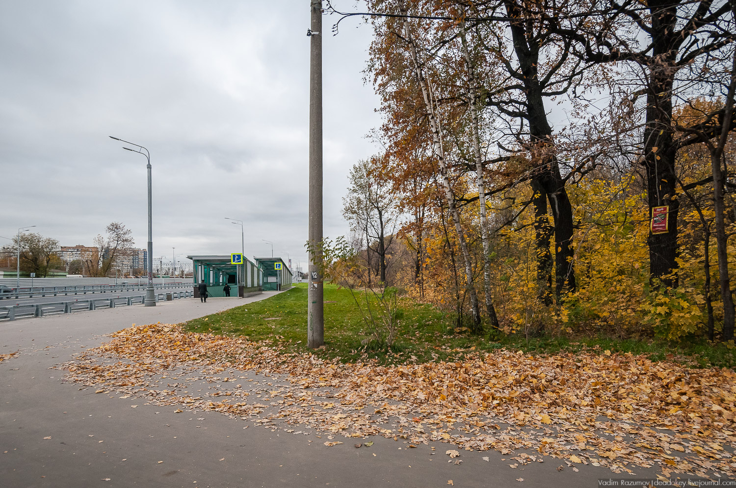 усадьба Кусково, осень 2018 года