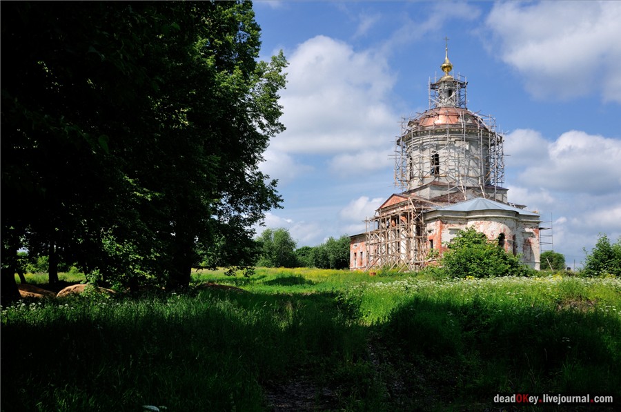 усадьба Петровское (Большепетровское)