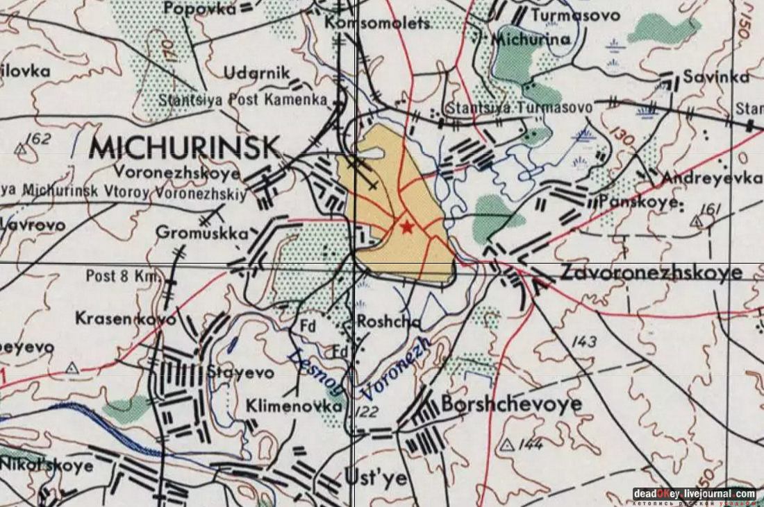 Усадьба Голицыных, г. Мичуринк