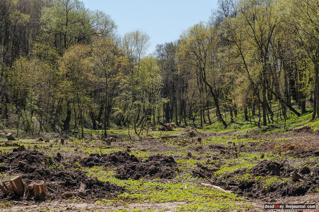 усадьба Тарасково, Каширский район, реставрация, ASG