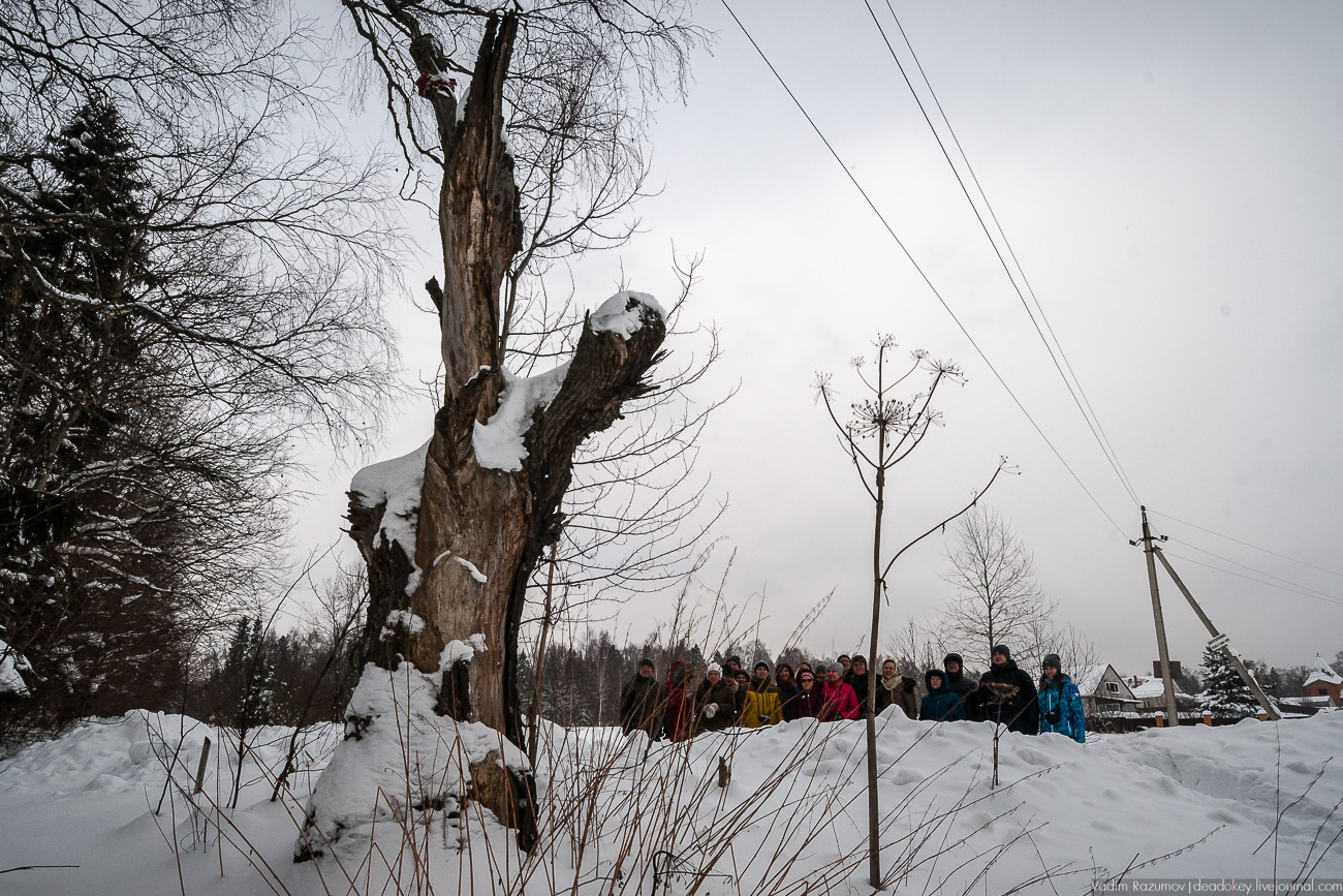 Усадебный экспресс. Гусарская баллада, экскурсия 2018