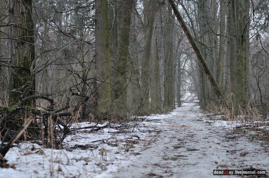 усадьба Иславское