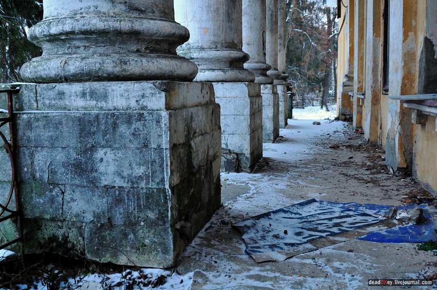 усадьба Медное-Власово