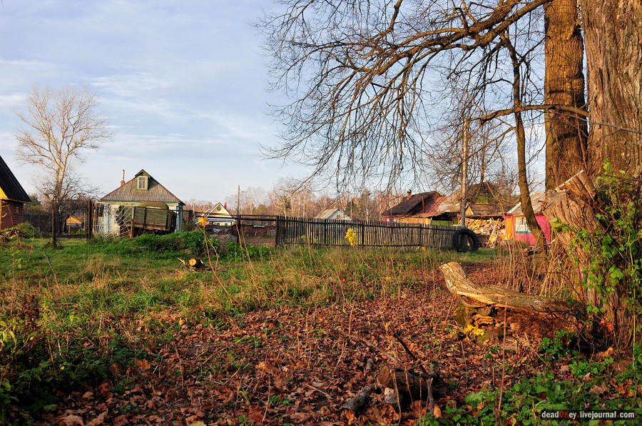 усадьба Бережки